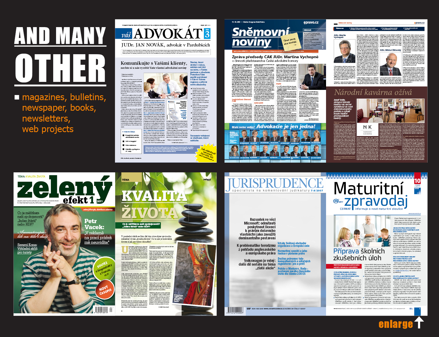 Magazines, bulletins, newspaper, books, newsletters, 
web projects